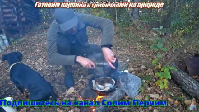 Готовим Карпика с грибочками