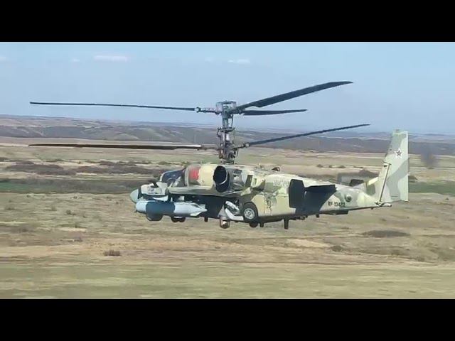 Акула смотреть онлайн