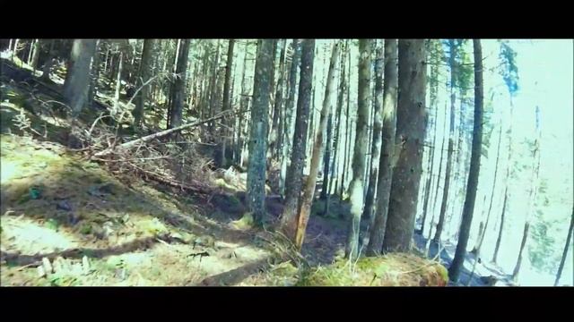 LAGO DI CAREZZA VIDEO TRAVEL смотреть онлайн