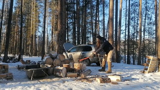 Колка дров , обязательная дисциплина в лесу . смотреть онлайн