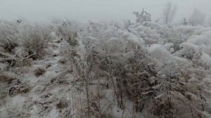 Охота на куропатку зима 2021