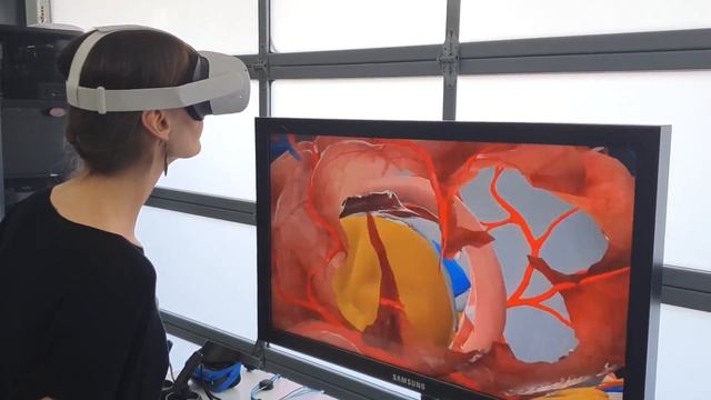 3D Organon VR Anatomy on Oculus Quest 2 смотреть онлайн