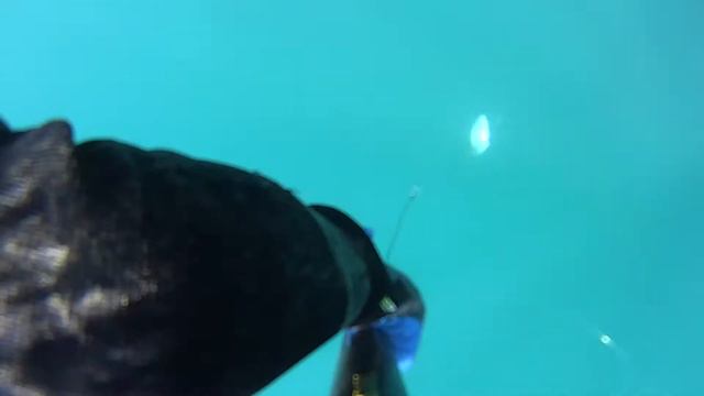 Подводным охотникам ,охота помогает выживать на пенсию 2021 смотреть онлайн