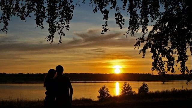 БЕЗ СЛОВ (читает автор) author's poems смотреть онлайн