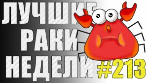 ЛРН выпуск №213 ? ПОЛЕЗНЫЙ АФКашер и БЕЗУМНЫЙ КОЛЁСНИК! [Лучшие Раки Недели]