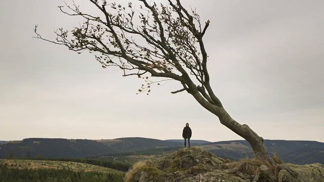 Henrik Dam Thomsen & Ulrich Stærk - C. Franck: Sonate for Violin and Piano in A Major for Cello смотреть онлайн