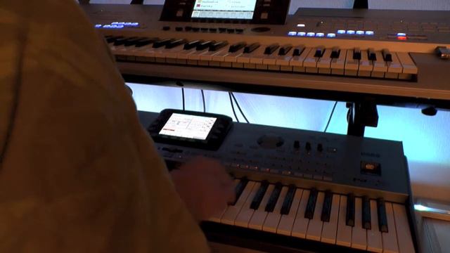 Can`t help falling in love Reggae-Style auf Korg PA 3x Musikant смотреть онлайн