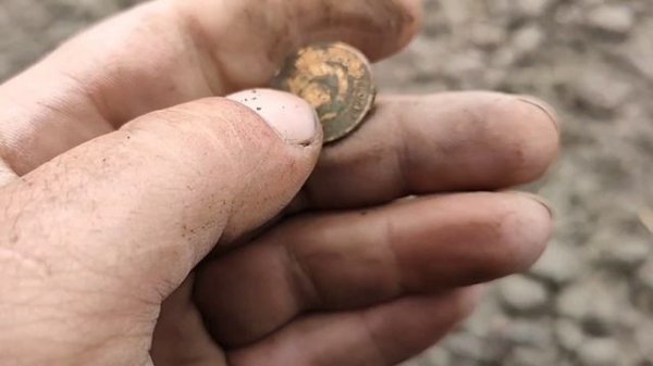 Много монет! #11