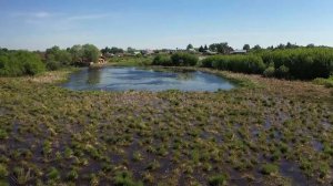 Никольское, Лаишевский район, Татарстан. Аэросъемка