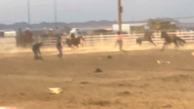 Wilcox,Arizona 2021 wild horse race смотреть онлайн