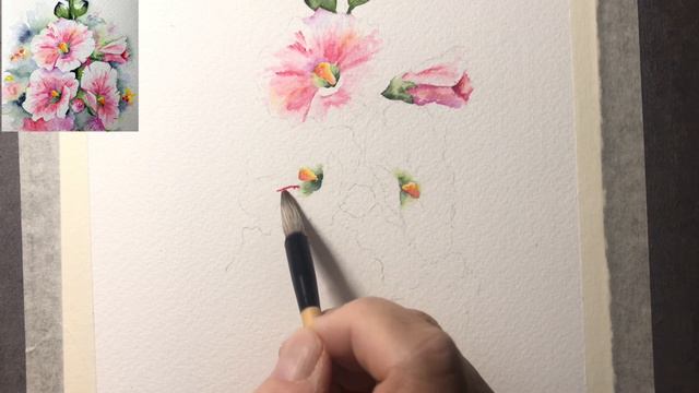 Watercolor hollyhock pink paint along demo tutorial смотреть онлайн