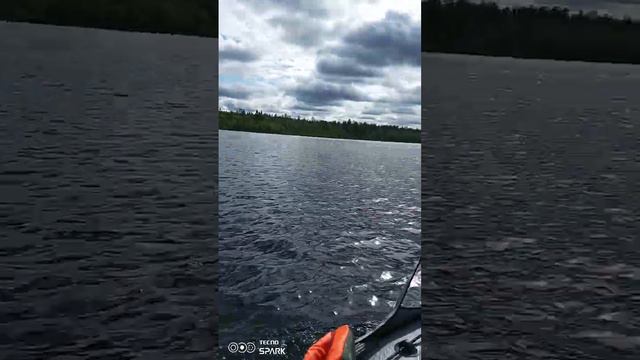 с грузом Toyama 5 BMS смотреть онлайн