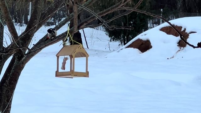 БЕЛАРУСЬ. СПАСИБО АНТОХА! Будни деревенской жизни семьи. смотреть онлайн