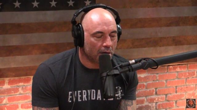 Nick Di Paolo Was Punched By a Woman After a Show | Joe Rogan смотреть онлайн