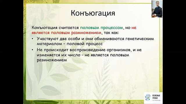 Класс Инфузории смотреть онлайн