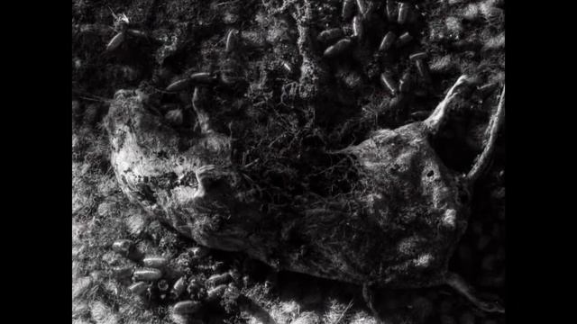 Frostburn - Cold and Dead смотреть онлайн