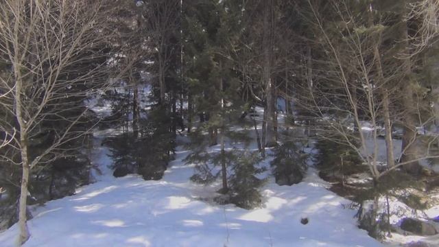 Грузия зимой, Боржоми, отдых в Грузии в феврале, горячие источники. смотреть онлайн