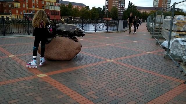 Как сом мешал строить мост в Калининграде. #1 смотреть онлайн