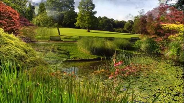 БИБЛИЯ ВТОРАЯ КНИГА МАККАВЕЙСКАЯ Глава 15. смотреть онлайн