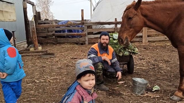 Как приобрести хорошую кобылу в деревне за 0 рублей. История с конём, который нашёл своего хозяина? смотреть онлайн