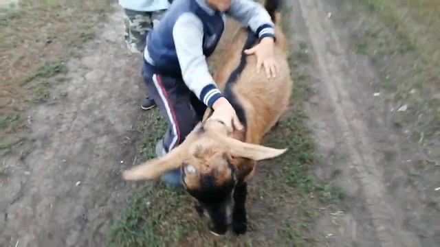 Новый друг у детей 🤗 /РУССКИЙ ДУХ / смотреть онлайн