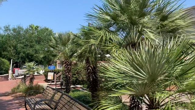 TOUR DOWNTOWN BEAUFORT SC FROM THE COMFORT OF YOUR OWN HOME! смотреть онлайн