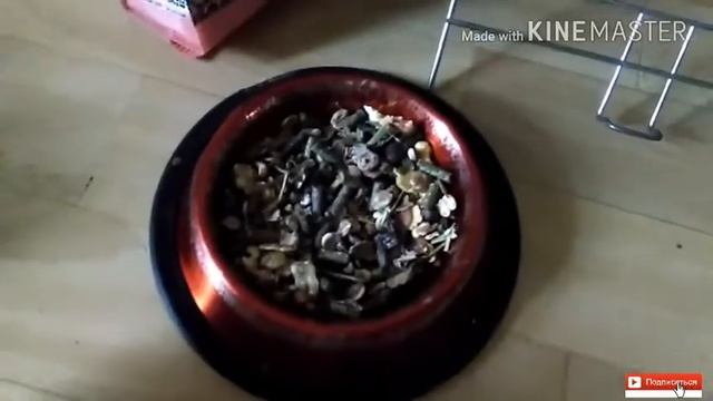 Кормление кролика// рассказываю чем кормлю кролика... смотреть онлайн