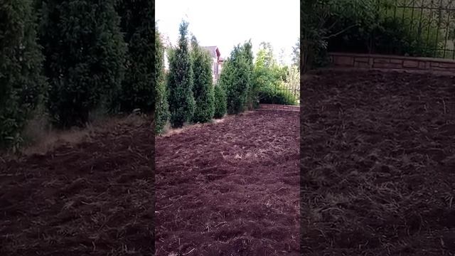 ВСПАШКА ЗЕМЛИ В ИЖЕВСКЕ 89048312962 смотреть онлайн