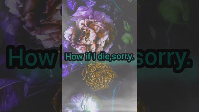 Azerbaijani poet Ramiz Rövşən "Sorry" poem...From the poem a part: смотреть онлайн