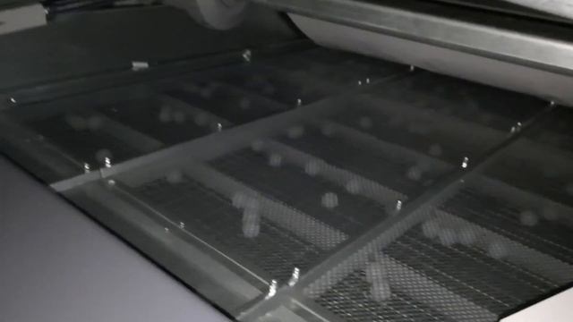 ПОТЕРЯЛИ ВЕРНОГО ДРУГА смотреть онлайн