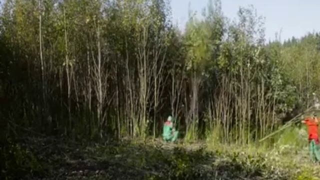 ? расчистка воронеж, расчистка участков в воронеже смотреть онлайн