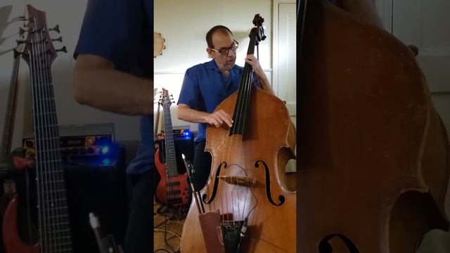 Introduction to bass violin смотреть онлайн
