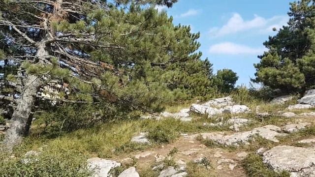 Ай-Петри смотреть онлайн