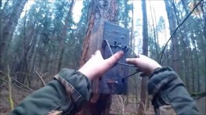 Охота на куницу с ящичными ловушками (Будни охотника и рыбака)