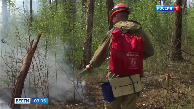 Россия 1, 9 июля 2024
Сразу в трех регионах Дальнего Востока усиливают группировку авиапожарных смотреть онлайн