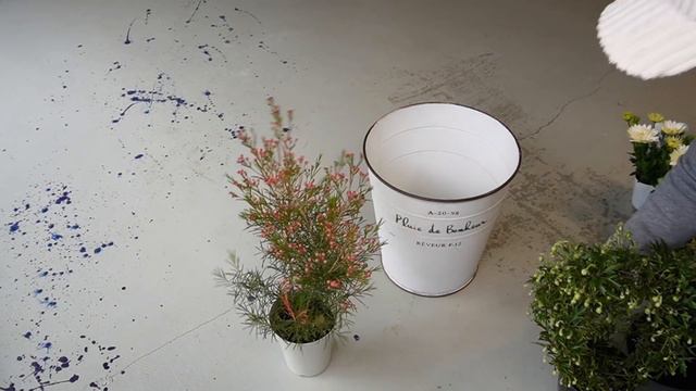 小さな春の寄せ植え🌸材料は4種類5株だけ！✨Make a cute spring pot with only 4 kinds of plants🌼 смотреть онлайн