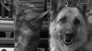 мурат тхагалегов   небо в клеточку