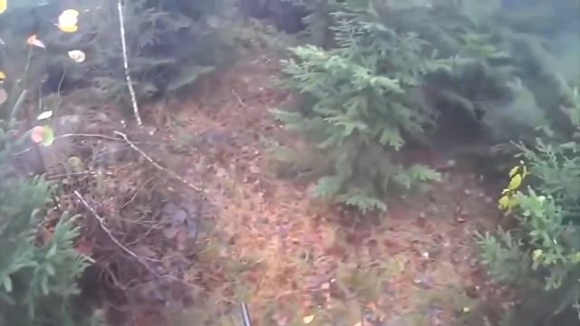 ТОП 5 самых мощных и захватывающих дух атак кабана на стрелков! смотреть онлайн