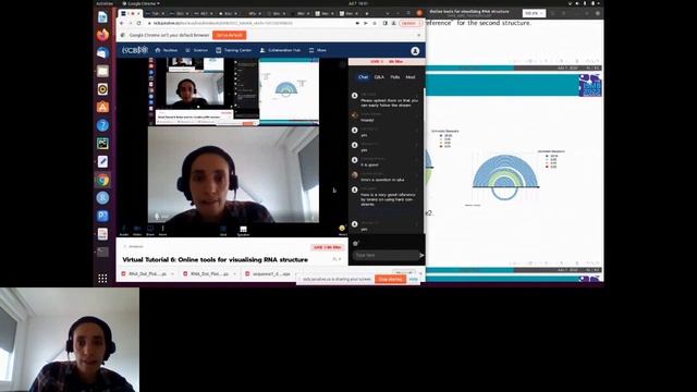 Tutorial VT6: Online tools for visualizing RNA structure - Afaf Saaidi - Tutorial - ISMB 2022 смотреть онлайн