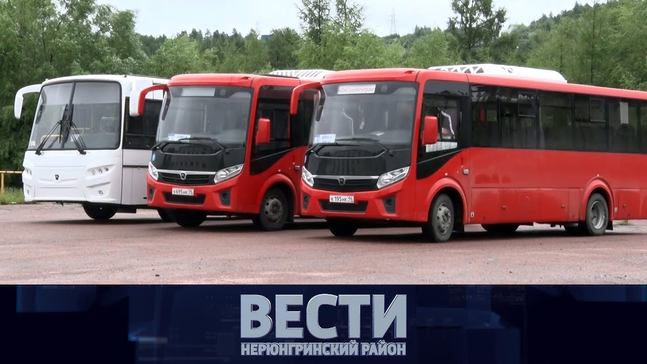 Выпуск от 29.07.2023: деревья под угрозой; новые автобусы; опасные клещи смотреть онлайн