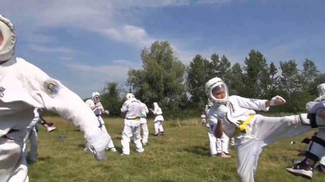 Аттестация по Арашидо (Араши Карате) 26.06.21г. г.Киев смотреть онлайн