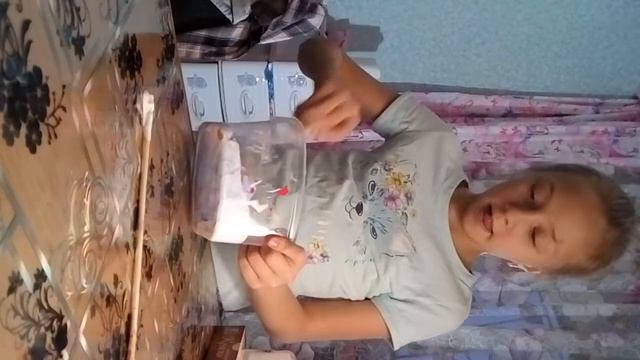 Пробую сделать слайм.Из клея луч смотреть онлайн