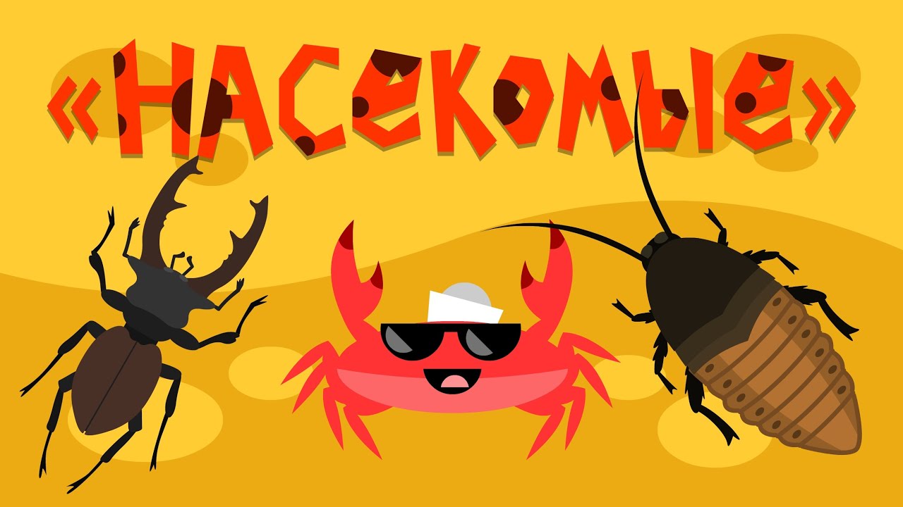 Капитан Краб: "Насекомые" смотреть онлайн