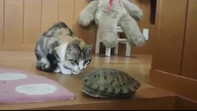 Если друг не смеётся смотреть онлайн