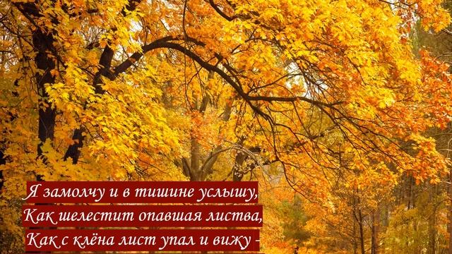 Стихотворение В. Басов: "Осенний лес" смотреть онлайн