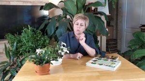 ДЕКАБРИСТ ЗАЦВЕТЕТ 100%, ЕСЛИ ВЫ БУДЕТЕ СЛЕДОВАТЬ ИНСТРУКЦИИ / Садовый гид