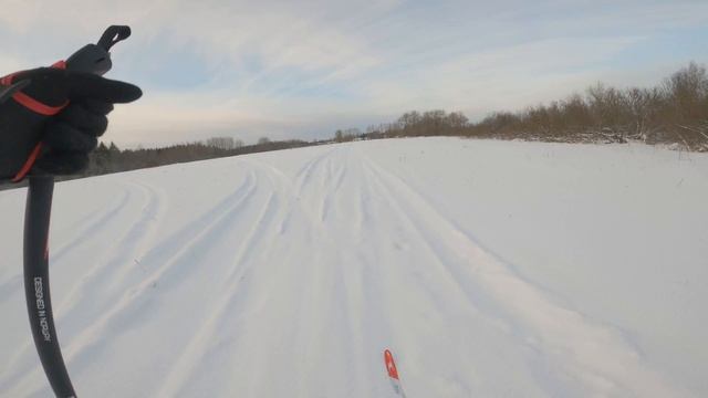 ПРОГУЛКА НА ЛЫЖАХ ᛏ 20.12.2022 смотреть онлайн