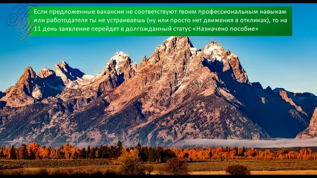 Как встать на биржу труда и оформить пособие по безработице смотреть онлайн