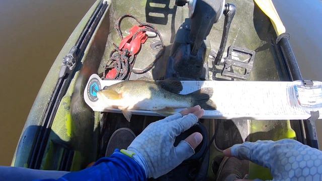 How to Measure Your Fish on Bump Boards Correctly for Online Tournaments смотреть онлайн