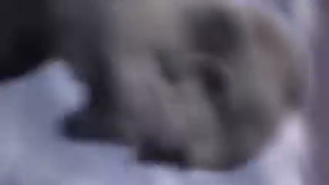 Kratos Falling For 10 Hours